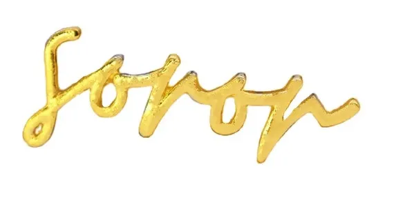 Absolutely Gorgeous Soror Pins in 2 Styles!